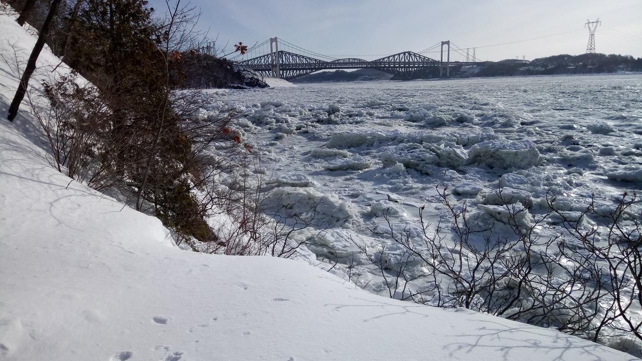 Gite Au Gre Du Vent Ville de Québec Extérieur photo